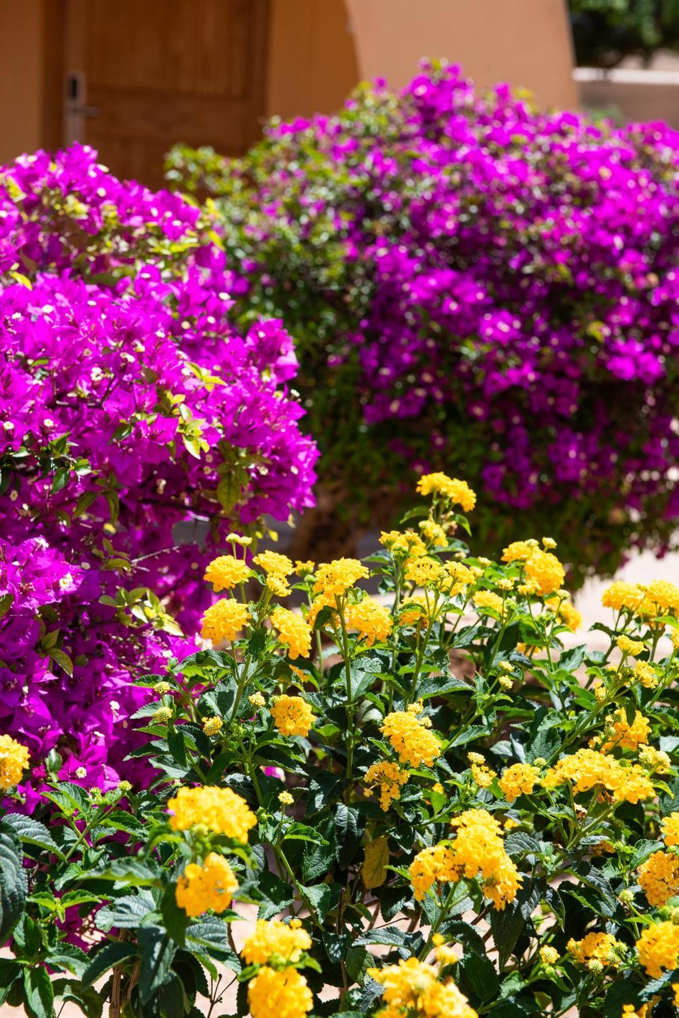 Paz Y Mar, Santa Ponsa Villa Exterior foto